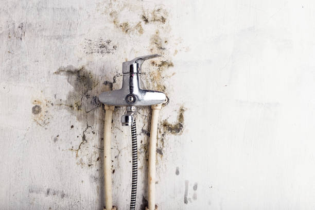 Best Mold Testing  in Batesville, MS