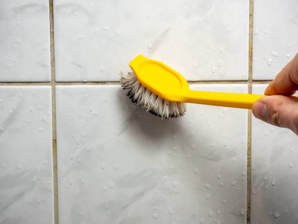 Batesville, MS Mold Removal Company