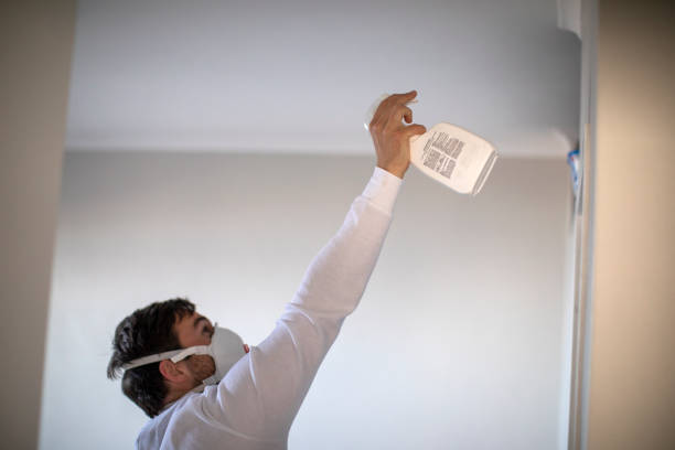 Best Mold Remediation  in Batesville, MS
