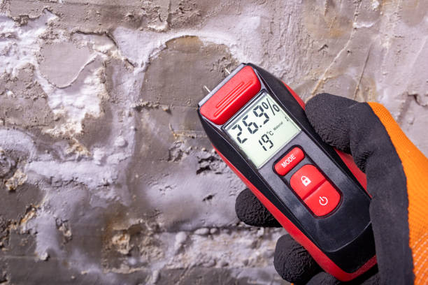 Best Emergency Mold Removal  in Batesville, MS