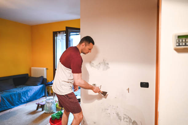 Best Mold Remediation Experts  in Batesville, MS